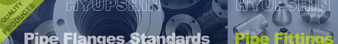 Jinan Hyupshin Flanges Co., Ltd, pipe flange, pipe fitting, catalog