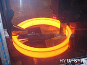 Jinan Hyupshin Flanges Co., Ltd, flanges foring and rolling